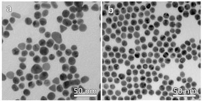 Preparation and Antitumoral Activity of Au-Based Inorganic-Organometallic Nanocomposites